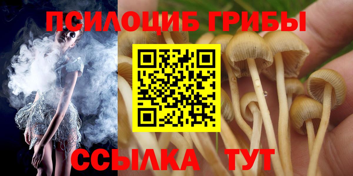 Галлюциногенные грибы прущие грибы  Псилоцибиновые грибы мухоморы  Ачинск  сколько стоит  Вход с VPN 